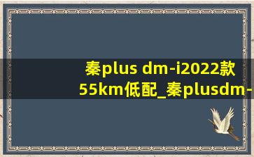 秦plus dm-i2022款55km低配_秦plusdm-i2024款超越版